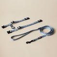 Load image into Gallery viewer, Blue Rainbow Walk Kit - Athena’s Paw