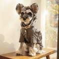 Load image into Gallery viewer, Bowery Raincoat - Athena’s Paw
