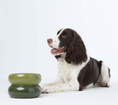 Load image into Gallery viewer, Souffle Pet Bowl - Athena’s Paw
