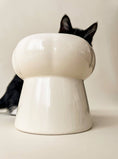 Load image into Gallery viewer, Elevated Creamy Food Bowl - Athena’s Paw