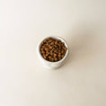 Load image into Gallery viewer, Elevated Creamy Food Bowl - Athena’s Paw