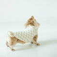 Load image into Gallery viewer, Crosby Sweater - Athena’s Paw