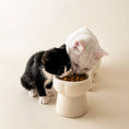 Load image into Gallery viewer, Elevated Creamy Food Bowl - Athena’s Paw