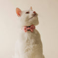 Load image into Gallery viewer, Meadow Bowtie - Athena’s Paw