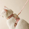 Load image into Gallery viewer, Meadow Walk Kit - Athena’s Paw