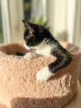 Load image into Gallery viewer, Sherpa Cat Bed - Athena’s Paw