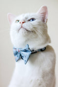 Load image into Gallery viewer, Blue Rainbow Bowtie - Athena’s Paw