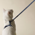 Load image into Gallery viewer, Blue Rainbow Walk Kit - Athena’s Paw