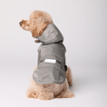 Load image into Gallery viewer, Bowery Raincoat - Athena’s Paw