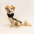 Load image into Gallery viewer, LCB Merino Wool Sweater - Athena’s Paw