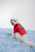 Load image into Gallery viewer, Santa Baby Jumper - Athena’s Paw