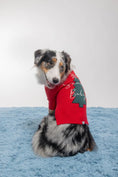 Load image into Gallery viewer, Santa Baby Jumper - Athena’s Paw