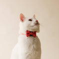 Load image into Gallery viewer, Bright Sun Bowtie - Athena’s Paw