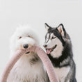 Charger l'image dans la visionneuse de la galerie, Oversized Nounou dog toy featuring dual super-squeakers housed in durable reinforced fabric with soft teddy plush exterior. This mythologically-inspired interactive toy showcases Lambwolf Collective's commitment to enrichment through play, designed specifically for large and extra-large dogs with textured surfaces and treat-hiding capabilities that honor your companion's natural intelligence and playful spirit.
