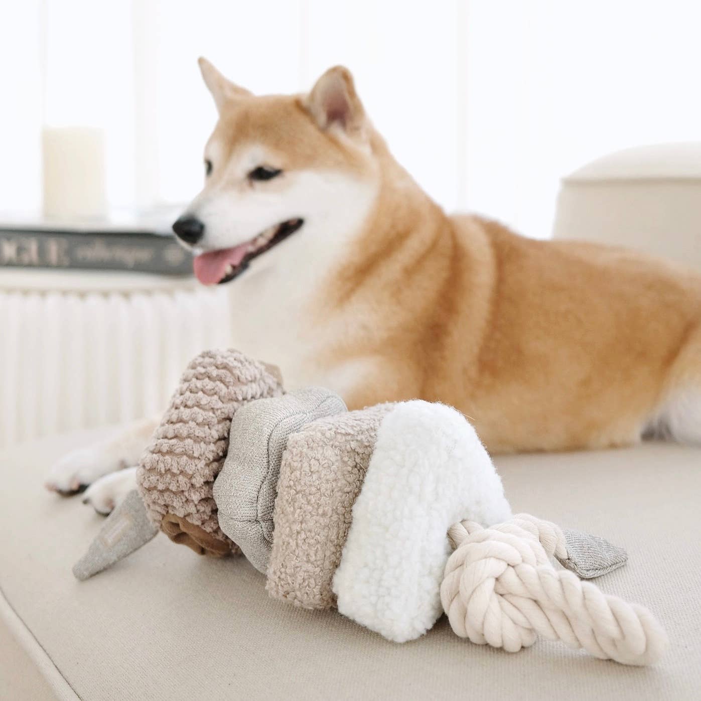 Blocs Enrichment Toy - Athena’s Paw