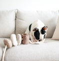 Load image into Gallery viewer, Blocs Enrichment Toy - Athena’s Paw

