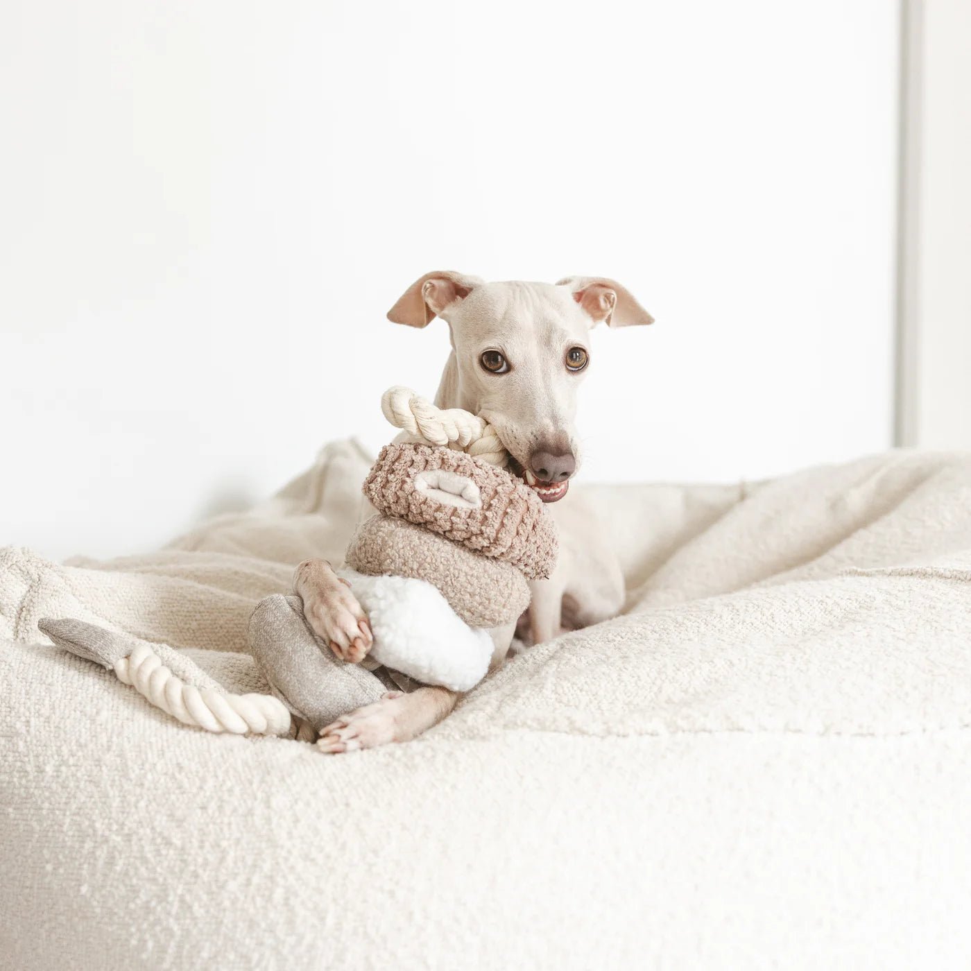 Blocs Enrichment Toy - Athena’s Paw