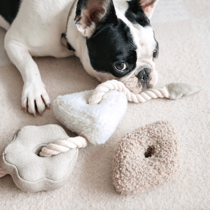 Blocs Enrichment Toy - Athena’s Paw