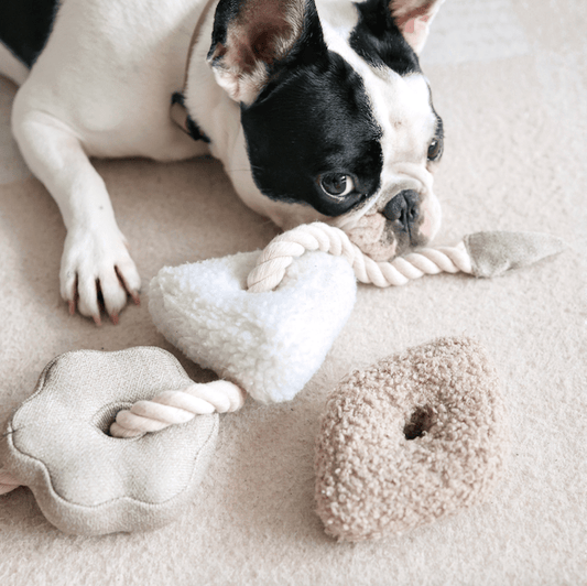Blocs Enrichment Toy - Athena’s Paw