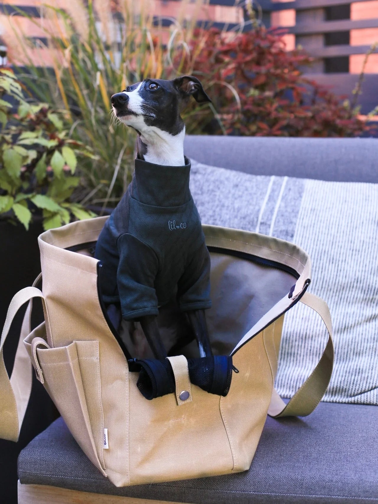 Marlowe Pet Carrier Bag - Athena’s Paw