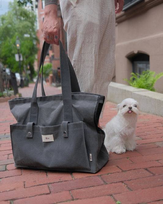 Marlowe Pet Carrier Bag - Athena’s Paw