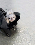 Load image into Gallery viewer, Marlowe Pet Carrier Bag - Athena’s Paw
