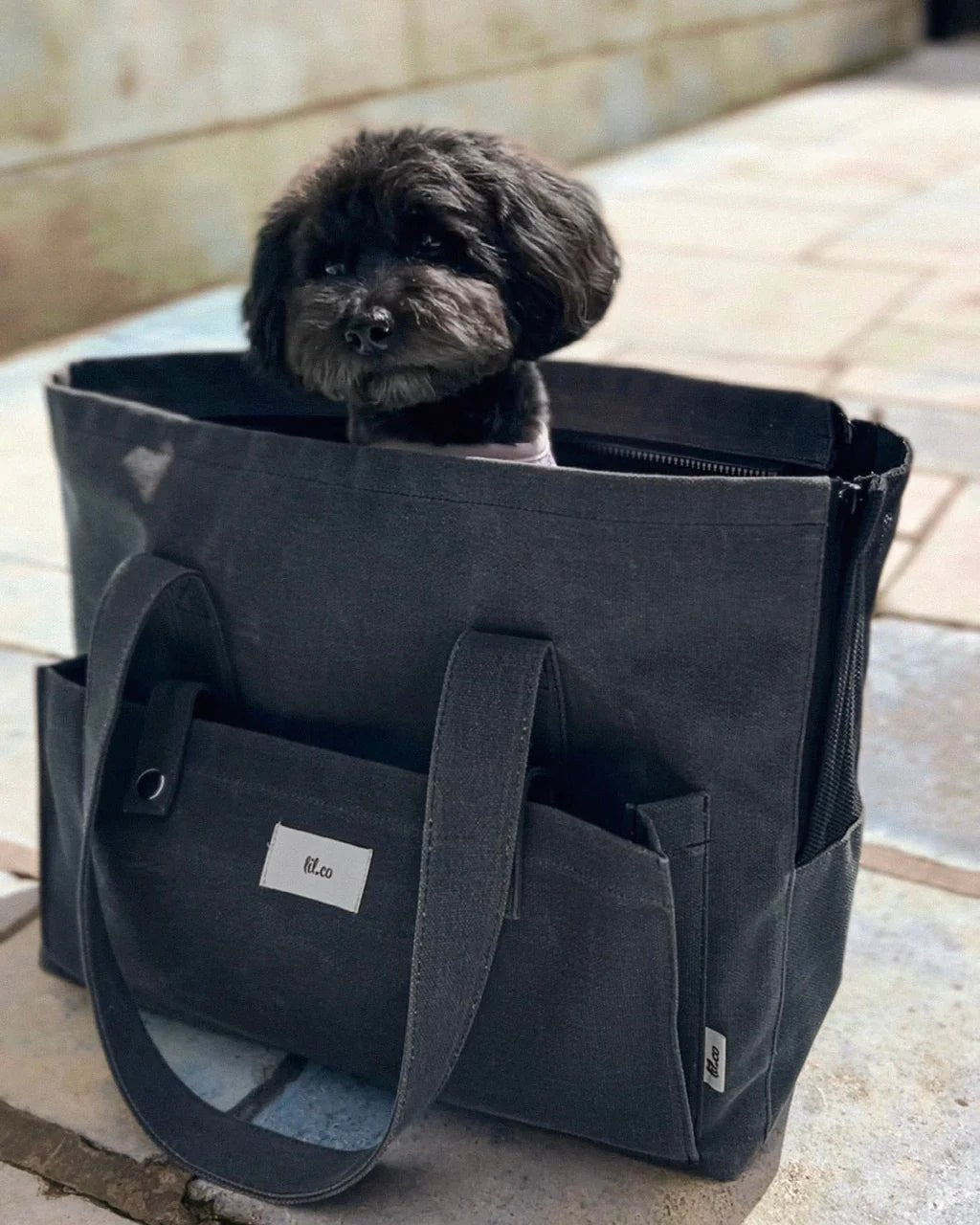 Marlowe Pet Carrier Bag - Athena’s Paw