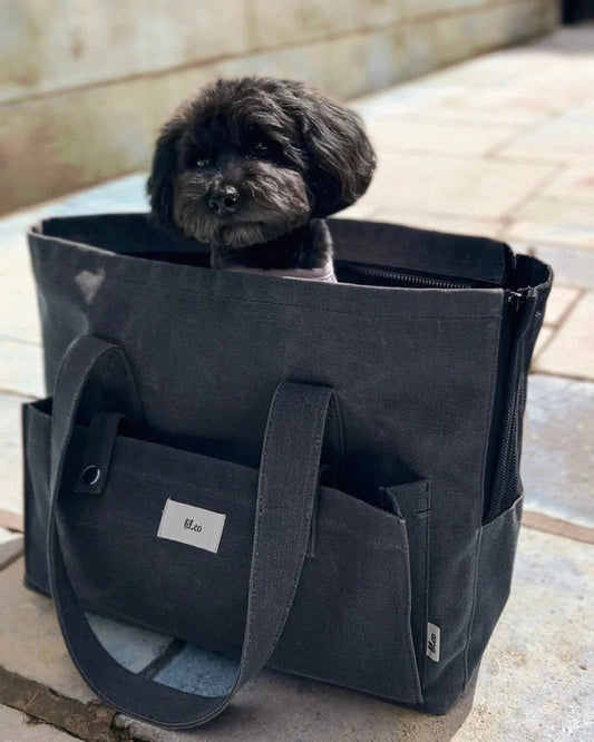 Marlowe Pet Carrier Bag - Athena’s Paw