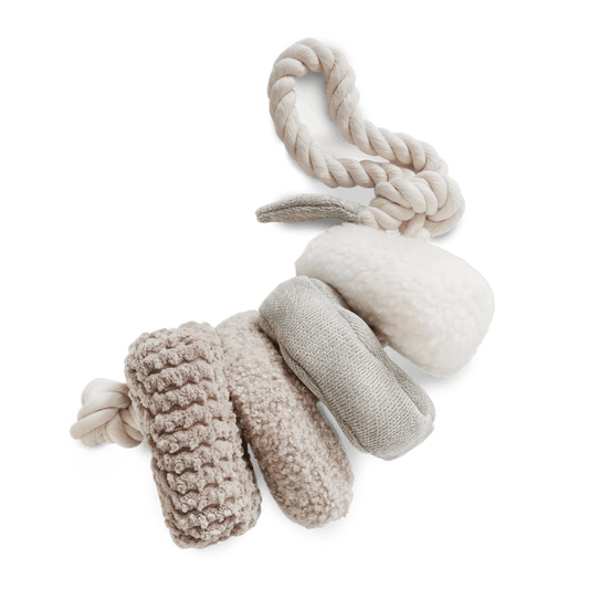 Blocs Enrichment Toy - Athena’s Paw