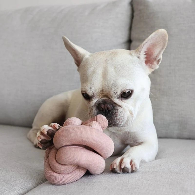 Nounou Toy - Athena’s Paw
