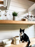Charger l'image dans la visionneuse de la galerie, Creamy Ceramic Cat Water Bowl with Elevated Design and Easy-Clean Finish – ideal for modern pet hydration.
