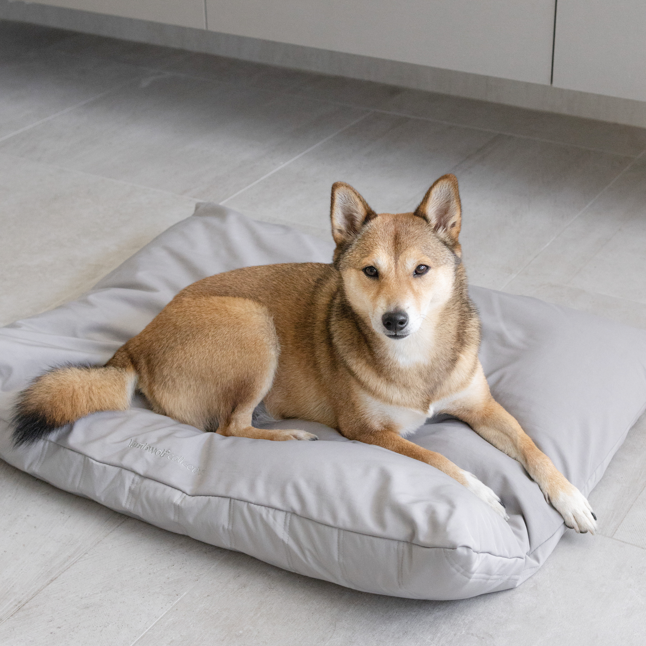 Maatin Bed showcasing innovative low-rise design with supportive EPP bean-filled cushioning and premium Lannel fabric cover in a neutral tone. This thoughtfully crafted haven features a unique reversible surface with bolstered edges, offering your companion both security and freedom to sprawl—embodying our belief that rest should adapt to your pet's natural preferences while providing the protective comfort every guardian wishes for their loyal friend.