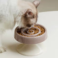 Load image into Gallery viewer, Hestia's Hearth ceramic slow feeder dog bowl with maze pattern design for healthier digestion
