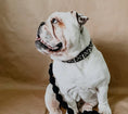 Load image into Gallery viewer, Macrame Dog Leash - Athena’s Paw

