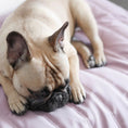 Load image into Gallery viewer, ORII Travel Mat - Athena’s Paw
