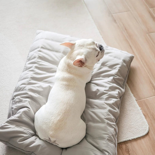 Maatin Bed - Athena’s Paw